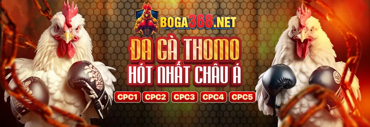 Đá Gà Trực Tuyến win66 code